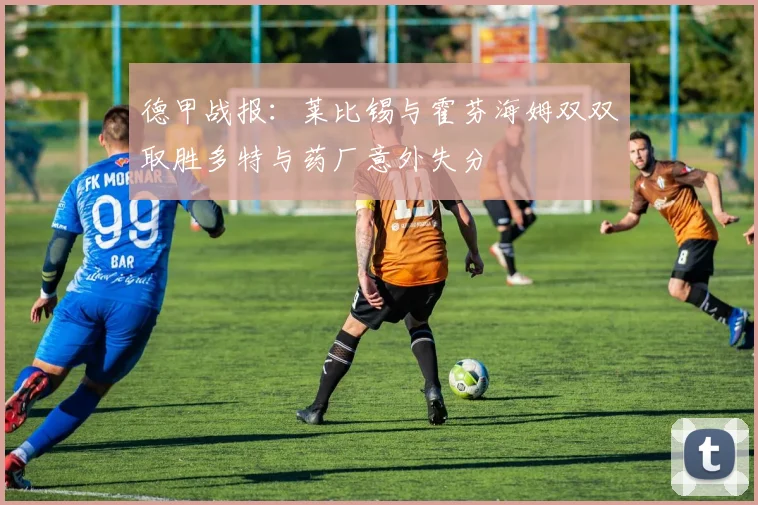 德甲战报：莱比锡与霍芬海姆双双取胜多特与药厂意外失分