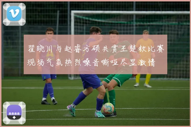 翟晓川与赵睿方硕共赏王楚钦比赛现场气氛热烈嗓音嘶哑尽显激情